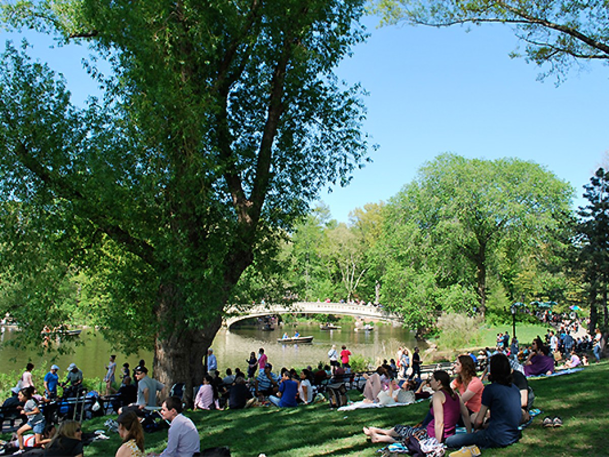 a group of people in a park