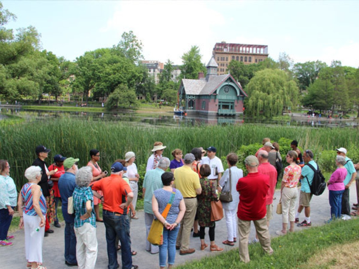 a group of people standing in the grass